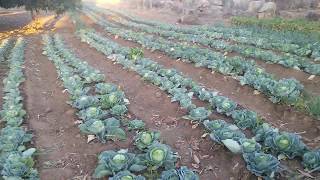 Solar Water System in Rural Zimbabwe