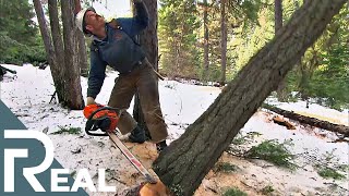 Lumberjack | Risk Takers | Episode 8 | FD Real Show