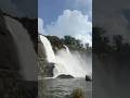 Valparai to athirappally waterfalls 🤩| Road trip elephants😱 #sheiksupdate