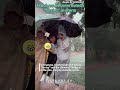 Teachers become human "ferries" in storm