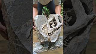 This Ordinary Rock Hid an Ancient Secret Inside