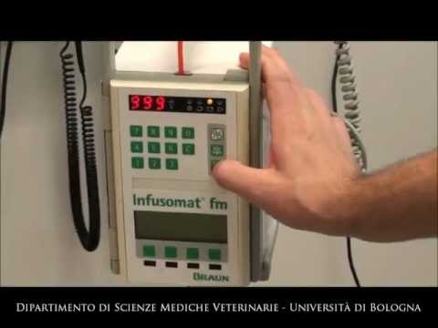 Preparazione di una linea per fluidoterapia