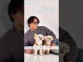 [📖]表紙に数原龍友(KAZ)さんが愛犬の殿くん&若くんと登場!3月31日(火)発売 FURRY春号🌸