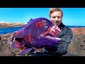 Most Unbelievable Fish Captures | Epic Compilation