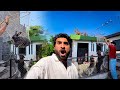 Sabtain Zinda Rabbit Dogs Ko Khilane Lga Ye Kia Kr Raha Hai Pagal