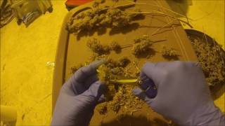 Trimming Tutorial and the Different Methods Used