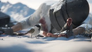 Соляра ТОП-1 Соляра ТОП-1