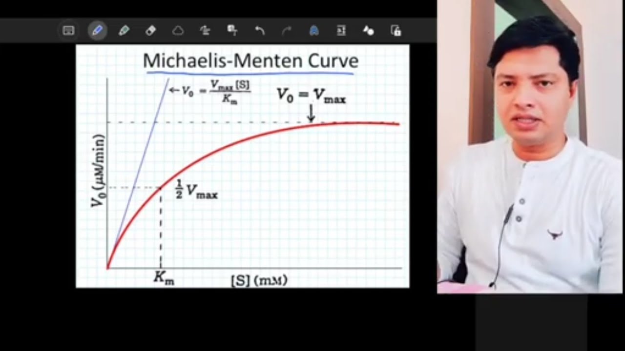 Michaelis and menten equation related to active diffusion of drugs absorption - YouTube