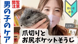 【初心者向け】閲覧注意⚠️仰向けにせず爪切り&お尻ポケットのお掃除をする方法