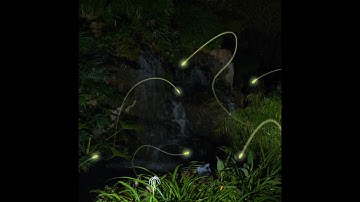 Solar Powered Fireflies - Fireflyz - the most realistic firefly effect ever