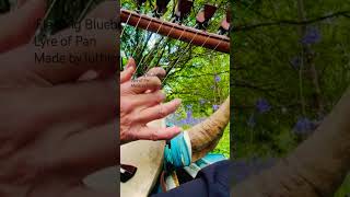 ‘Fleeting Bluebells” on Greek Lyre