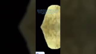 click this short click this short