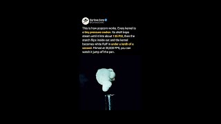 A Popcorn Kernel Exploding at 30,000 FPS