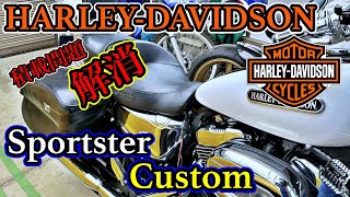 Harley-Davidson] Custom modification for long-distance touring