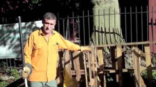 Composting 101 - compost bin options