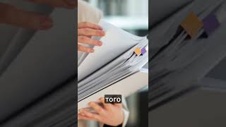 Бобры справились куда лучше #новости #hutko #shorts