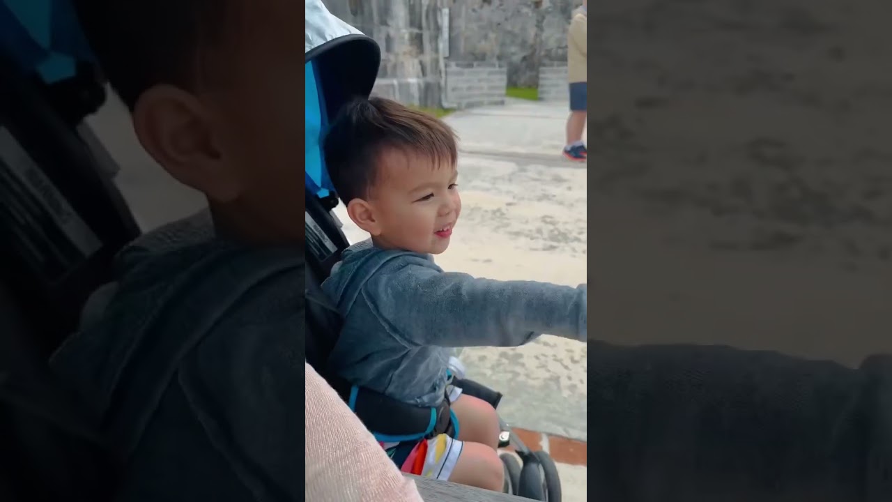 🐬🐬 🐬 Bermuda 🚢 Vacation mode 