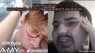 James Charles Reacting to Crazy Tik Toks About Me! PARODY