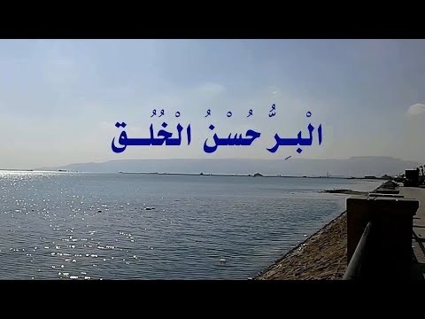 الب ر ح س ن الخ ل ق