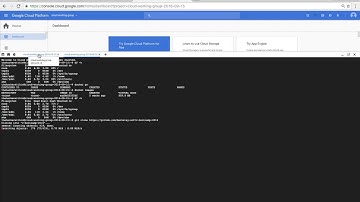 cloud working group + rstudio + docker + google cloud shell