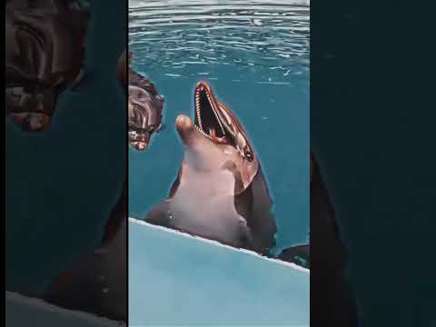 طب ولي بعنا نقولة اي  قصف جبهة