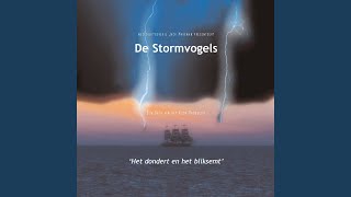 Video thumbnail of "De Stormvogels - Deze Zee"