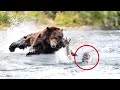 Drowning girl scrabbled and cried for help then a bear appeared and did something unbelievable