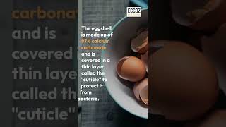 Hot & Cracking Egg-Ceptional Facts Unveiled Jaw-Dropping Truths About Eggs