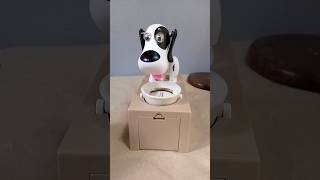 energetic dog in this coin box shorts viral