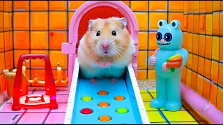 Hamster's Maze Escaping Masterclass  Learn the Secrets  Maze for Hamster