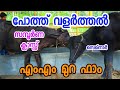 പോത്ത്‌ വളർത്തുന്നവർ അറിയാൻ ! [ECO OWN MEDIA] MM Murah farm training Malayalam 2018