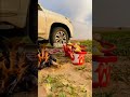 ربيع القصيم عام ١٤٤٢