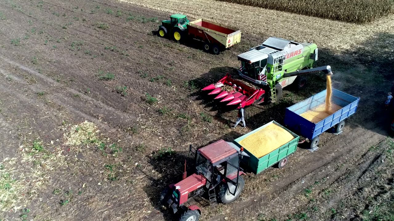 Iskustva PROIZVODJACA sa hibridima kukuruza P0710, P0200 - Milan Pejinovic, Prigrevica