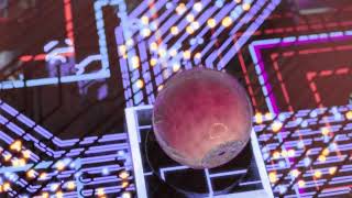 The Algorithm Whispers: A Song of AI and the Future