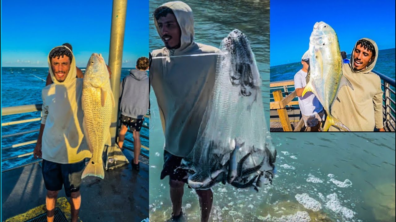 كميات رهيبة من اسماك البورى بالشبكة وصيد وحوش بالصنارة!! 😱