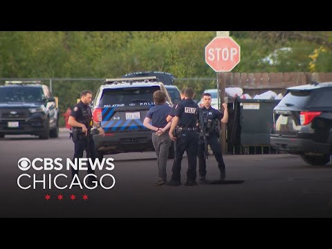 Palatine teen arrested for alleged mass shooting plot targeting Hindu temple