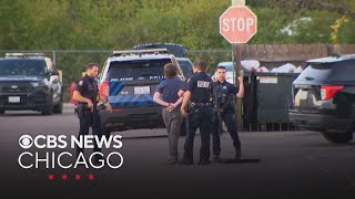 Full Palatine teen arrested for alleged mass shooting plot targeting Hindu temple News