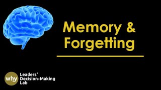What is Memory? Why Forgetting Is a Vital Function, Not a Flaw