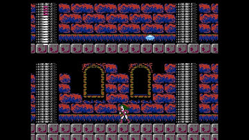 Castlevania 2 Randomizer - Peru Fe Amended Won