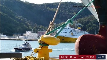 Nuovo Vado Gateway, l