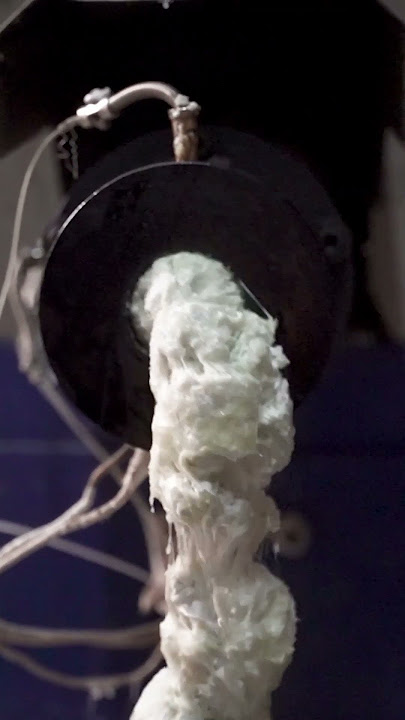 Is Styrofoam dangerous? #styrofoam #plastics #carcinogens