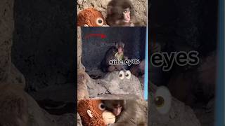 Punch is relaxing #shorts