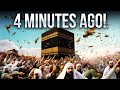 Strange Insects INVADE Kaaba In Mecca And TERRIFIES Muslims!