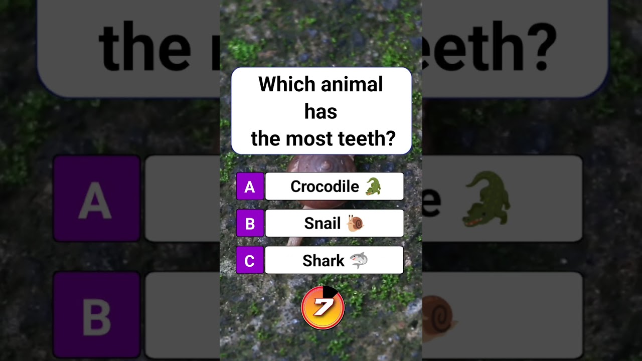 Which animal has the most teeth? 