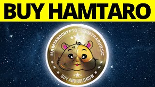 How To Buy Hamtaro Crypto Token On Trust Wallet & PancakeSwap screenshot 3
