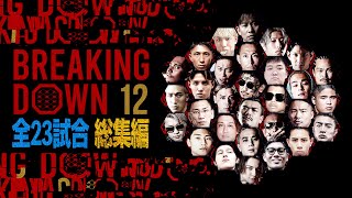 ブレイキングダウン12 全23試合 総集編