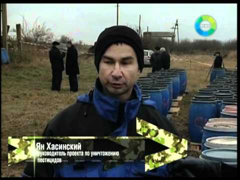 Видео: Этикетка пестицидов, наносящих вред пчелам: что означают предупреждения об опасности для пчел