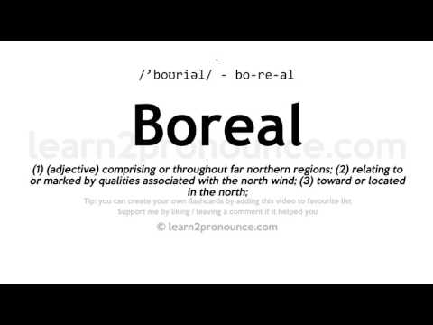 Pronunciation of Boreal | Definition of Boreal