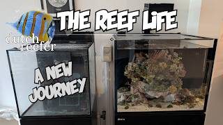 The Reef Life A New Journey