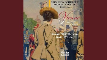 21 Hungarian Dances, WoO 1: No. 2 in D Minor, Allegro non assai